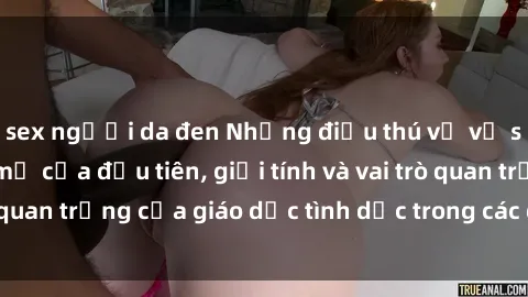 sex người da đen Những điều thú vị về sex ở Bắc Âu: Sự mở cửa đầu tiên, giới tính và vai trò quan trọng của giáo dục tình dục trong các quốc gia này.